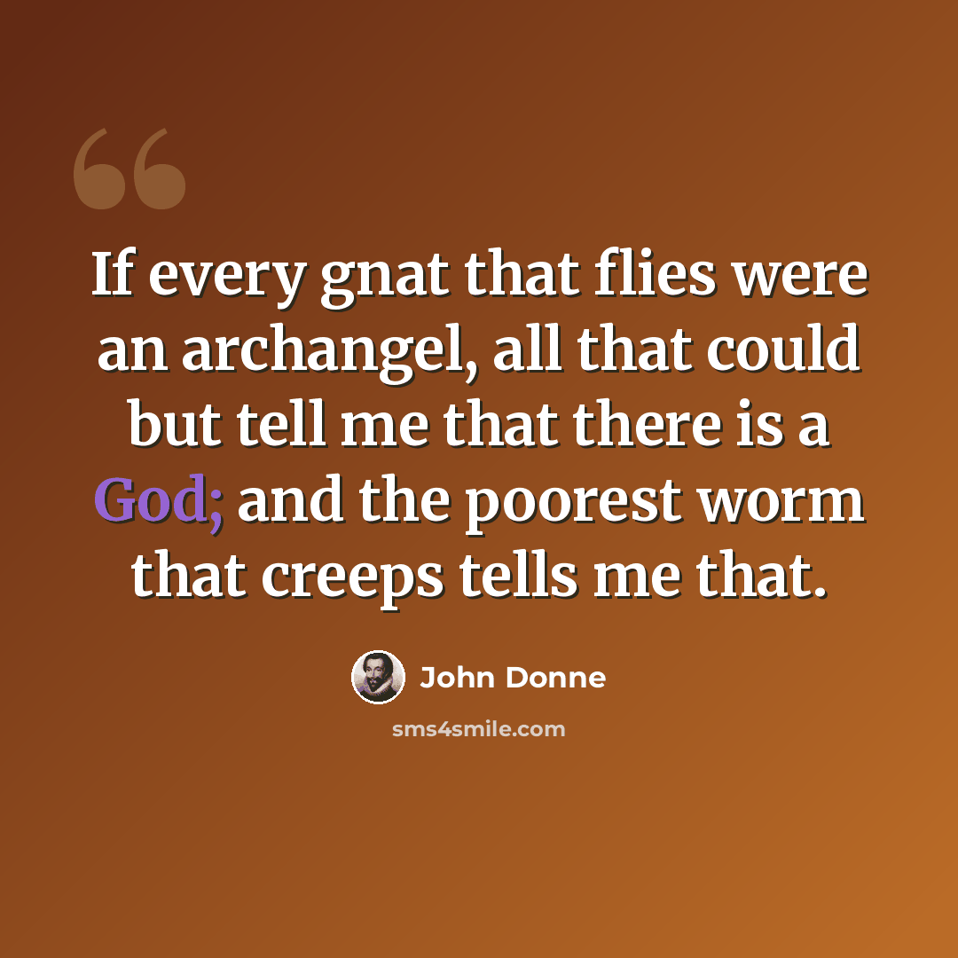 “If every gnat that flies were an archangel, all that could but tell me that there is a God; and the poorest worm that creeps tells me that.” quote by John Donne
