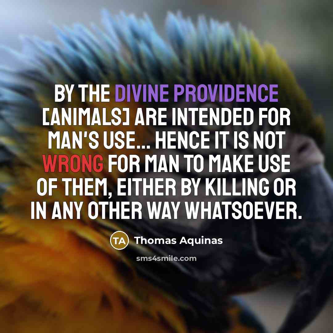 “By the divine providence [animals] are intended for man's use... Hence it is not wrong for man to make use of them, either by killing or in any other way whatsoever.” quote by Thomas Aquinas