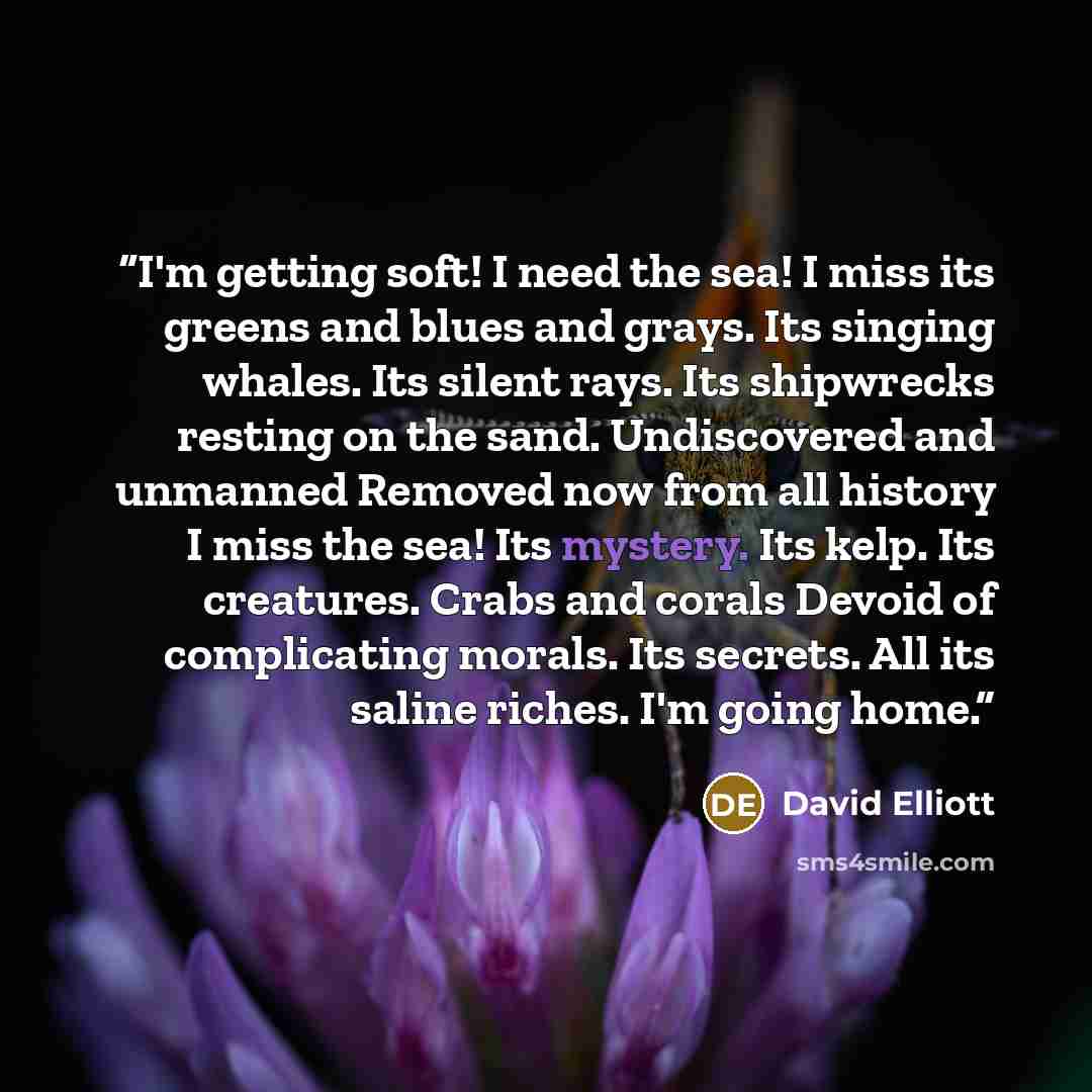 “I'm getting soft! I need the sea! I miss its greens and blues and grays. Its singing whales. Its silent rays. Its shipwrecks resting on the sand. Undiscovered and unmanned Removed now from all history I miss the sea! Its mystery. Its kelp. Its creatures. Crabs and corals Devoid of complicating…” quote by David Elliott