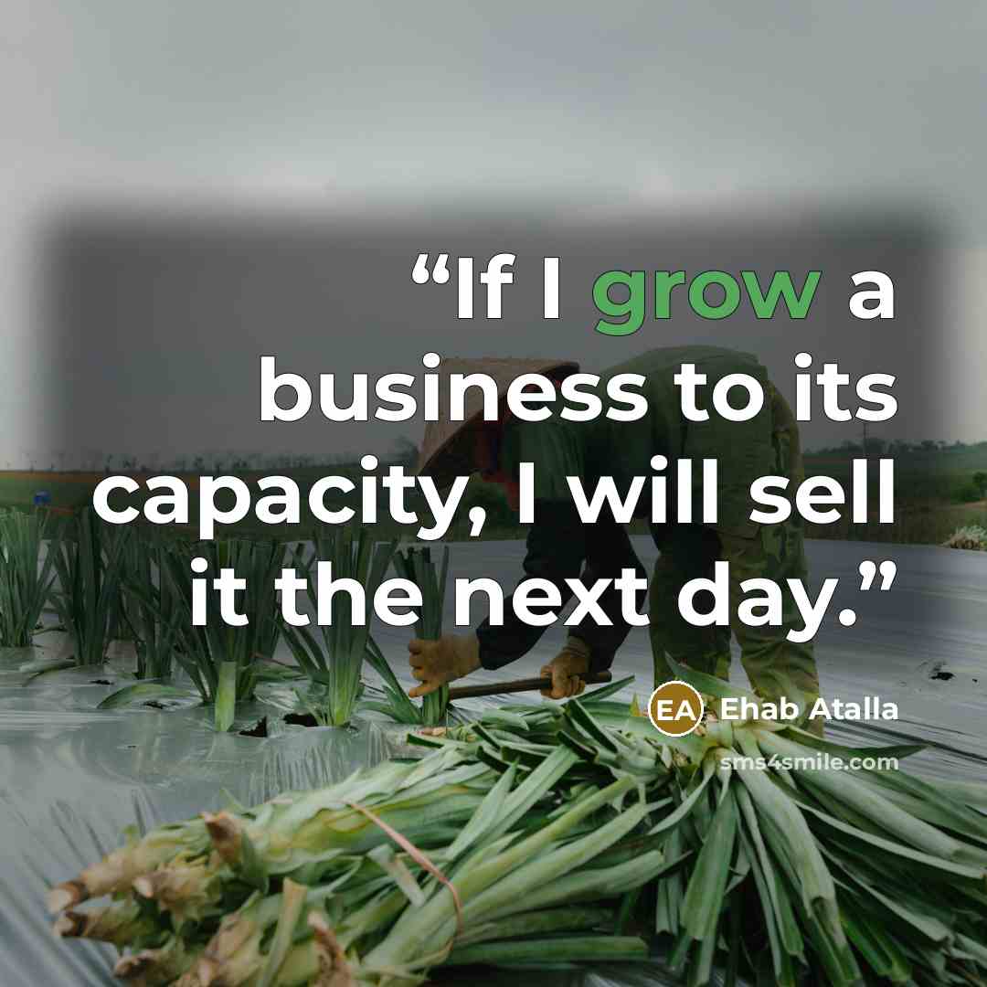 “If I grow a business to its capacity, I will sell it the next day.” quote by Ehab Atalla