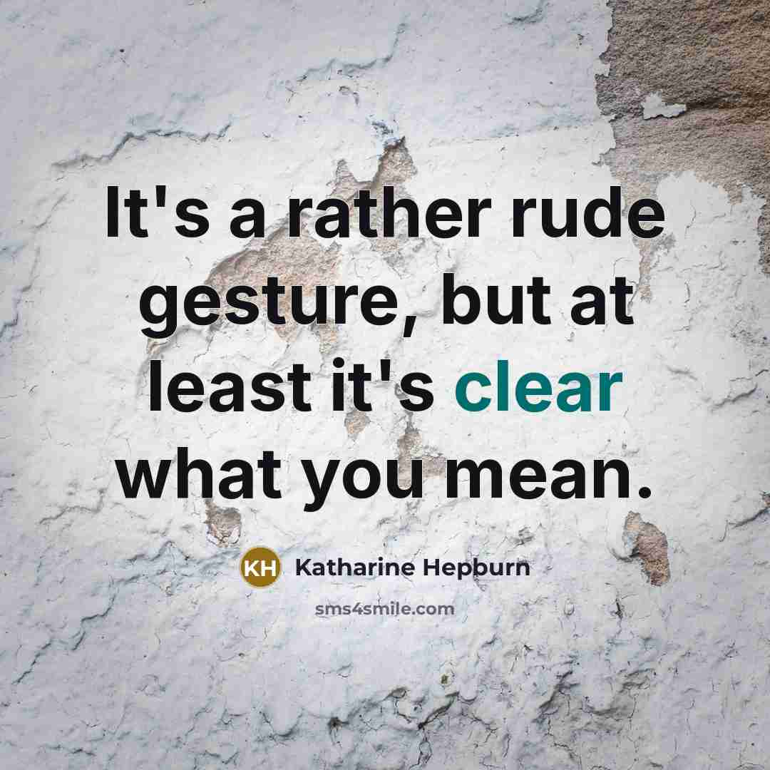 “It's a rather rude gesture, but at least it's clear what you mean.” quote by Katharine Hepburn
