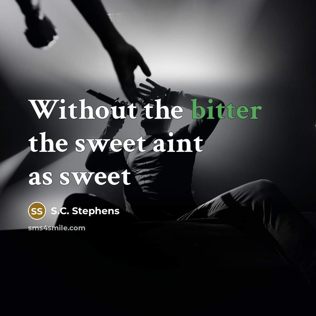 “Without the bitter the sweet aint as sweet” quote by S.C. Stephens