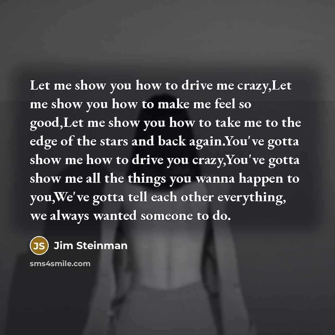“Let me show you how to drive me crazy,Let me show you how to make me feel so good,Let me show you how to take me to the edge of the stars and back again.You've gotta show me how to drive you crazy,You've gotta show me all the things you wanna happen to you,We've gotta tell each other everything…” quote by Jim Steinman