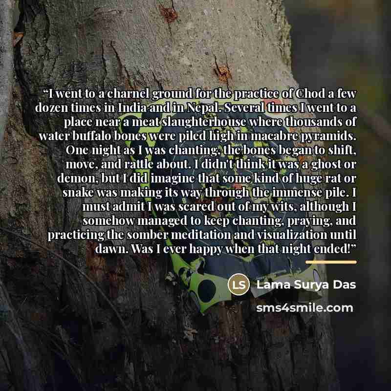 “I went to a charnel ground for the practice of Chod a few dozen times in India and in Nepal. Several times I went to a place near a meat slaughterhouse where thousands of water buffalo bones were piled high in macabre pyramids. One night as I was chanting, the bones began to shift, move, and…” quote by Lama Surya Das