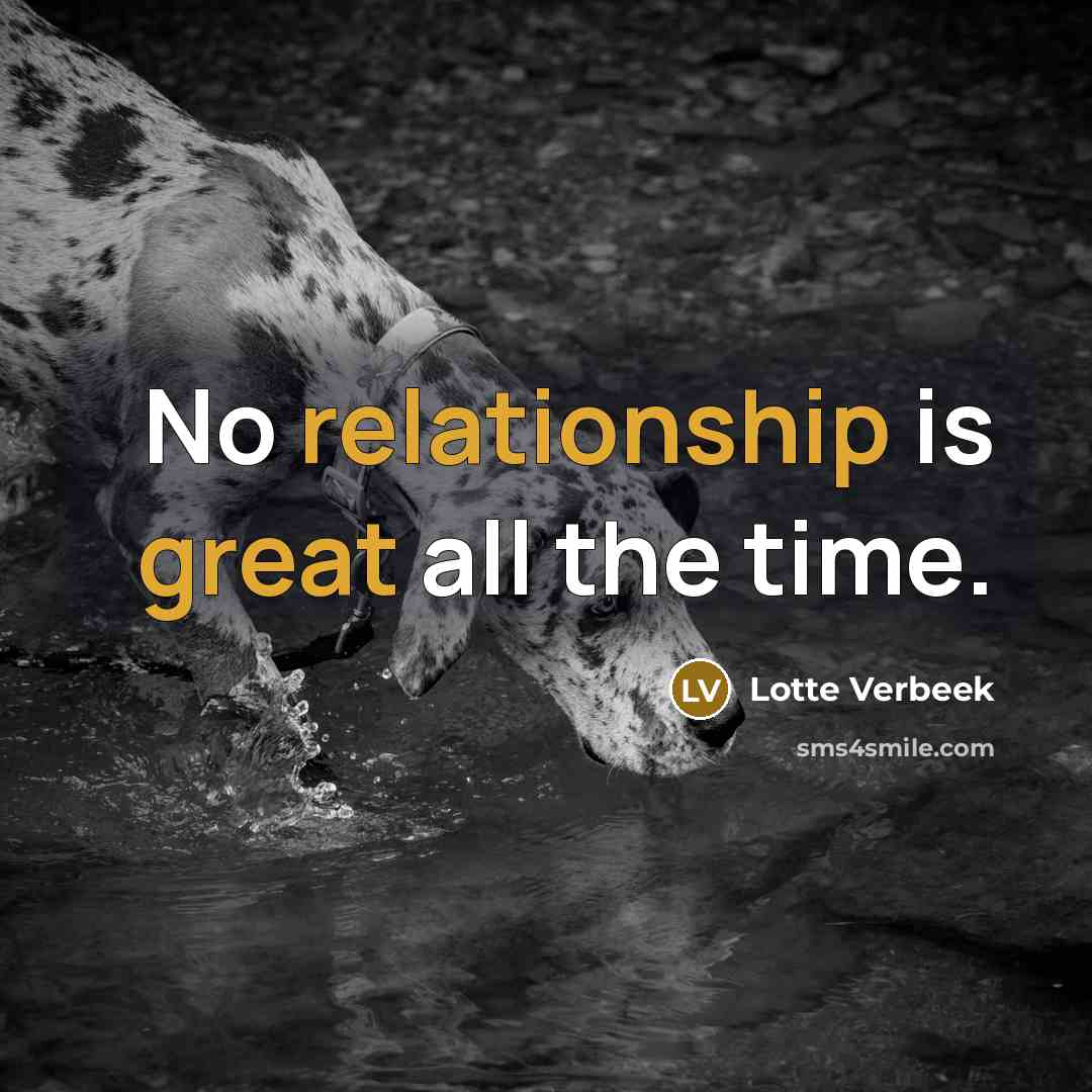 “No relationship is great all the time.” quote by Lotte Verbeek