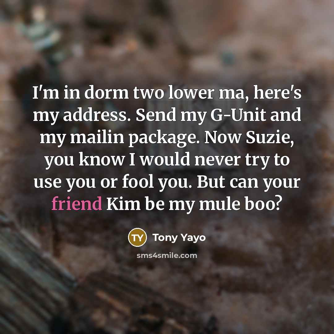 “I'm in dorm two lower ma, here's my address. Send my G-Unit and my mailin package. Now Suzie, you know I would never try to use you or fool you. But can your friend Kim be my mule boo?” quote by Tony Yayo