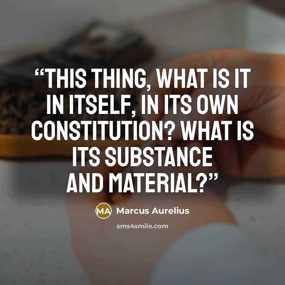 “This thing, what is it in itself, in its own constitution? What is its substance and material?” quote by Marcus Aurelius