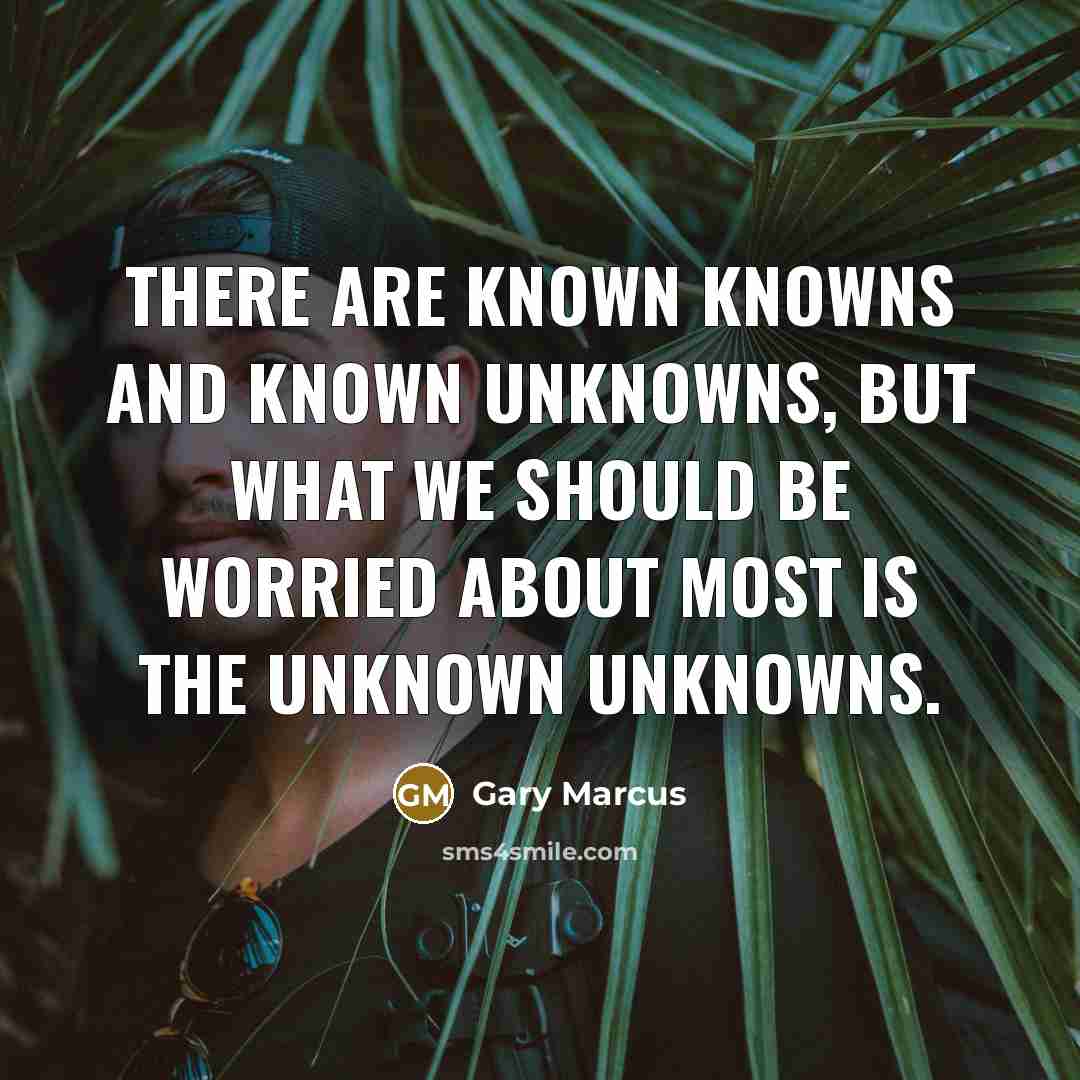 “There are known knowns and known unknowns, but what we should be worried about most is the unknown unknowns.” quote by Gary Marcus