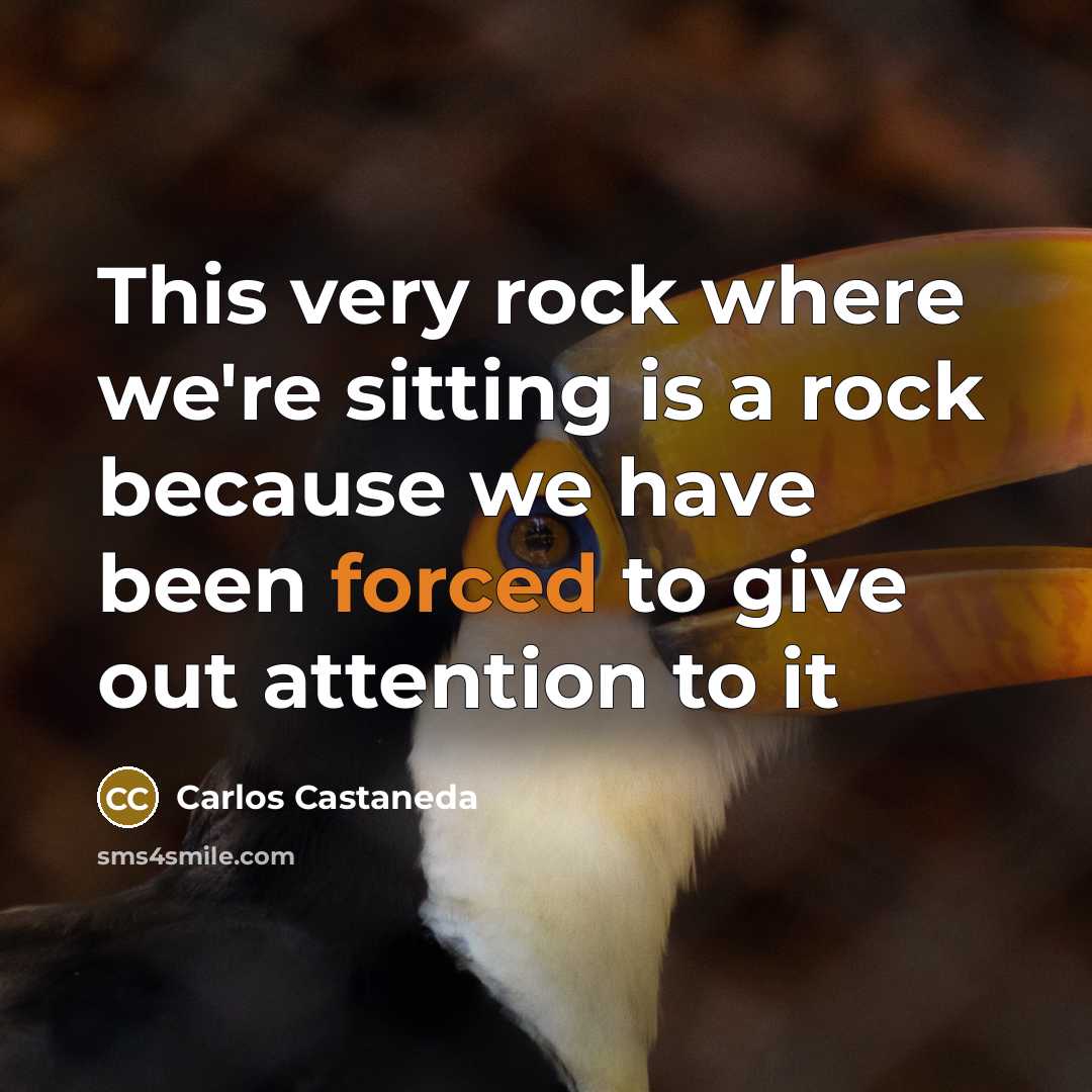 “This very rock where we're sitting is a rock because we have been forced to give out attention to it” quote by Carlos Castaneda
