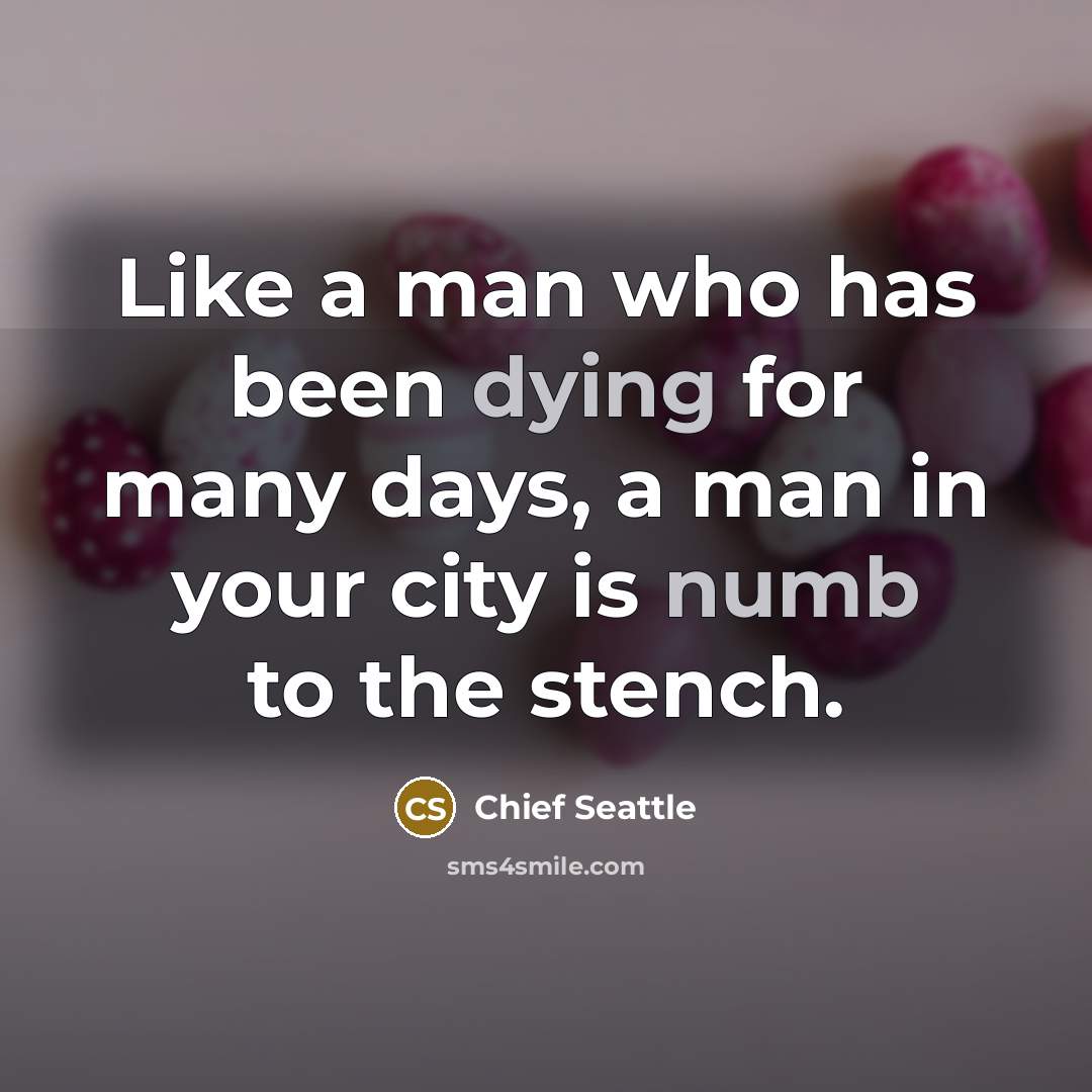 “Like a man who has been dying for many days, a man in your city is numb to the stench.” quote by Chief Seattle