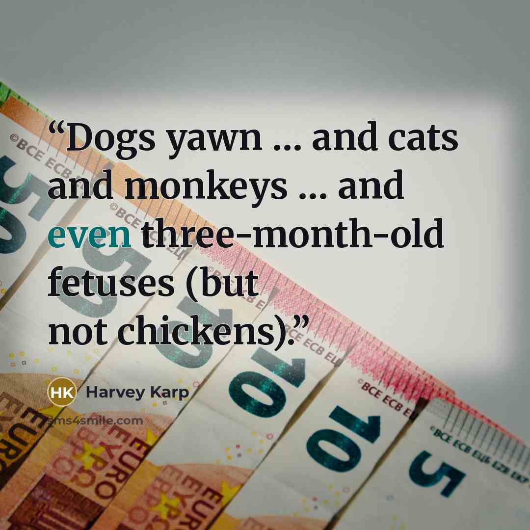 “Dogs yawn … and cats and monkeys … and even three-month-old fetuses (but not chickens).” quote by Harvey Karp