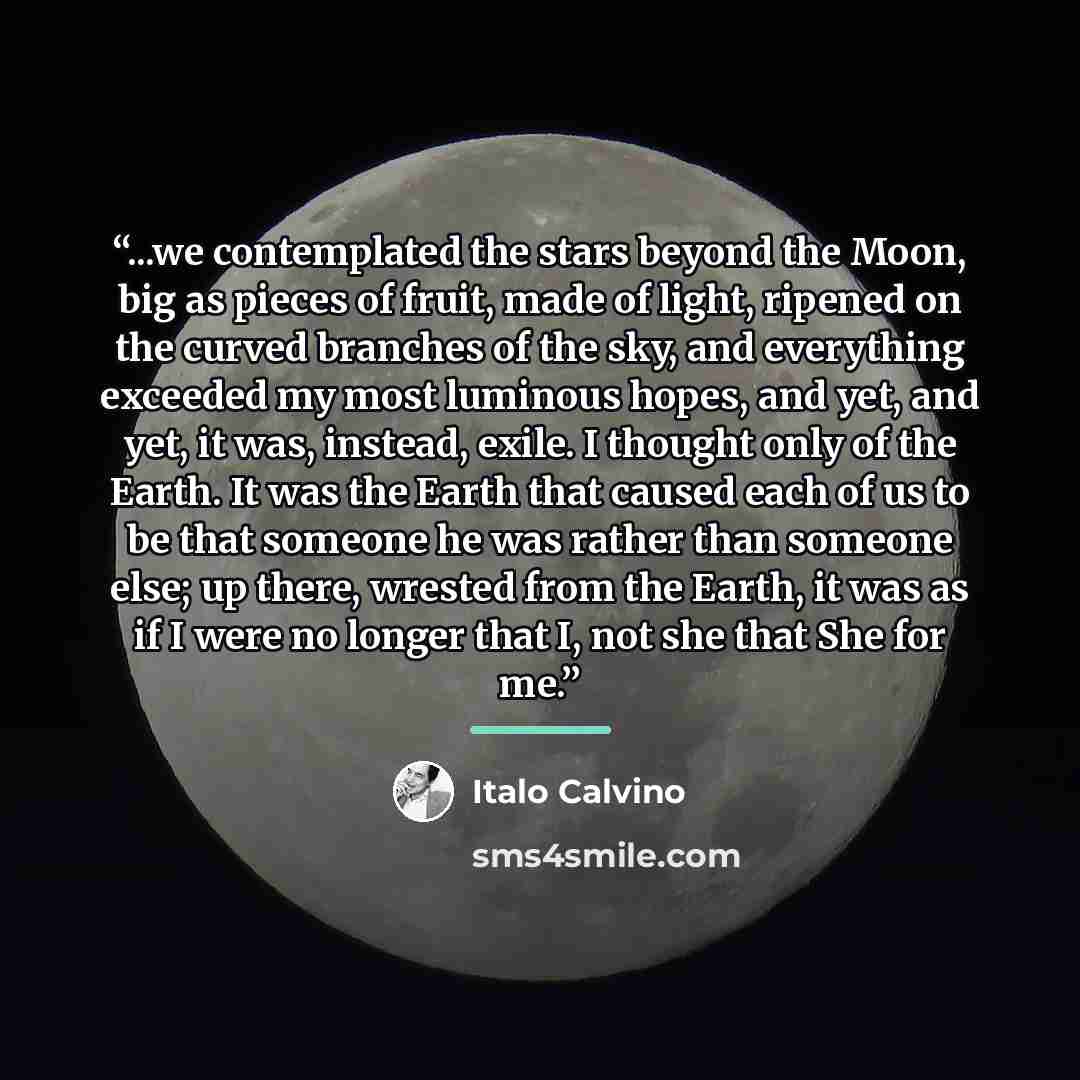 “...we contemplated the stars beyond the Moon, big as pieces of fruit, made of light, ripened on the curved branches of the sky, and everything exceeded my most luminous hopes, and yet, and yet, it was, instead, exile. I thought only of the Earth. It was the Earth that caused each of us to be that…” quote by Italo Calvino