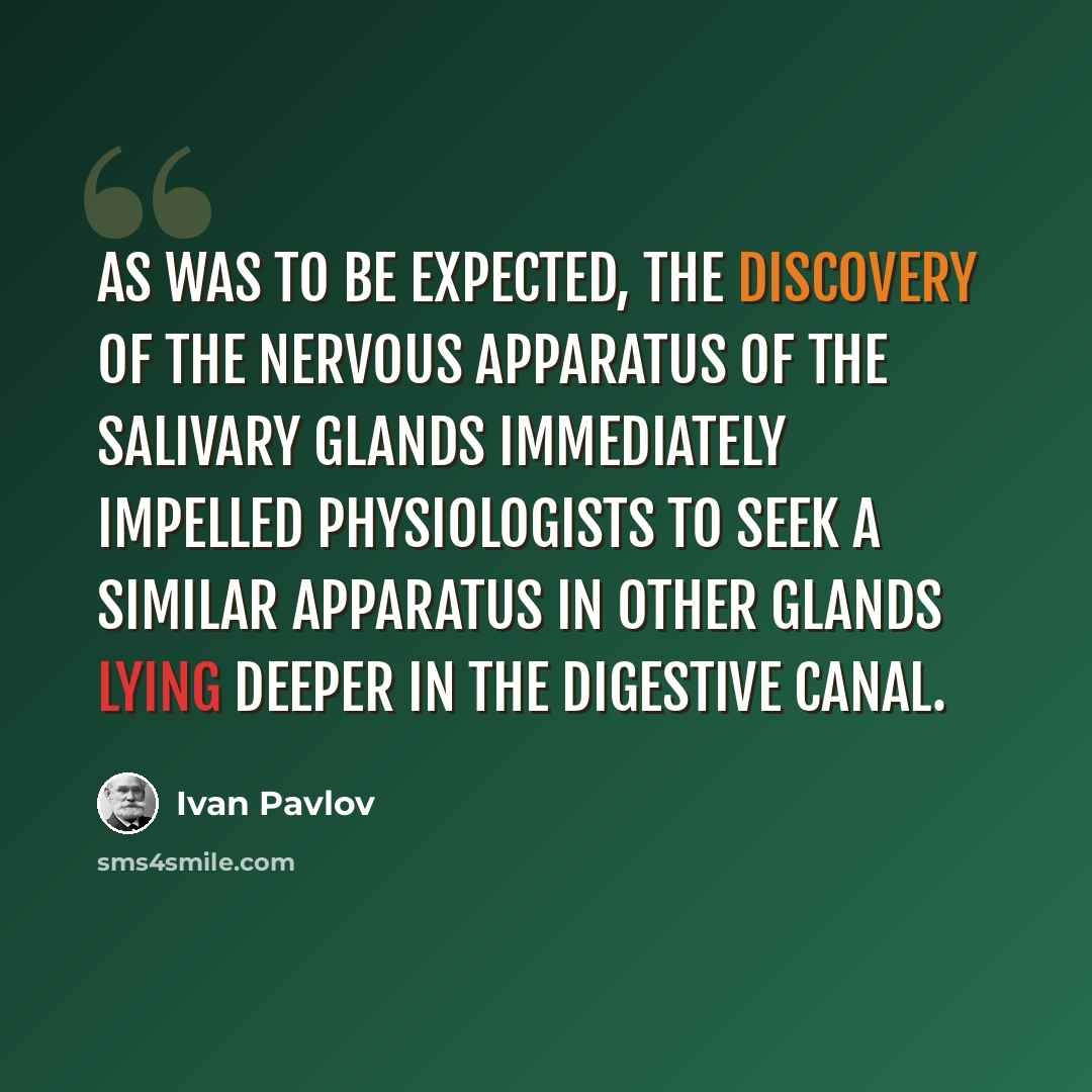 “As was to be expected, the discovery of the nervous apparatus of the salivary glands immediately impelled physiologists to seek a similar apparatus in other glands lying deeper in the digestive canal.” quote by Ivan Pavlov