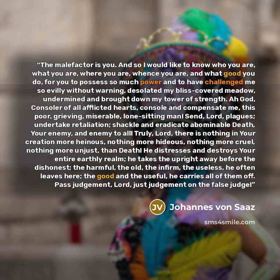 “The malefactor is you. And so I would like to know who you are, what you are, where you are, whence you are, and what good you do, for you to possess so much power and to have challenged me so evilly without warning, desolated my bliss-covered meadow, undermined and brought down my tower of…” quote by Johannes von Saaz