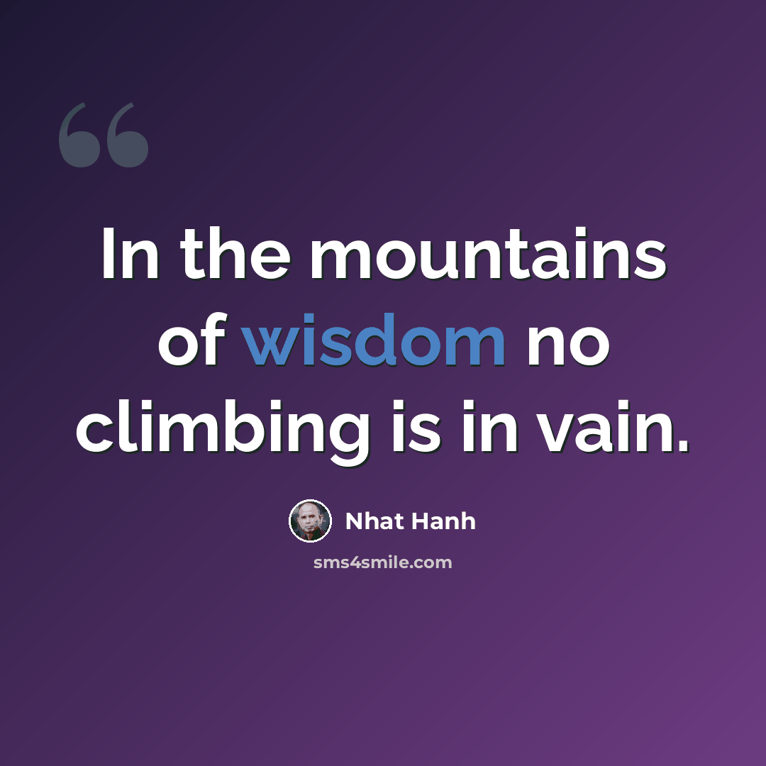 “In the mountains of wisdom no climbing is in vain.” quote by Nhat Hanh