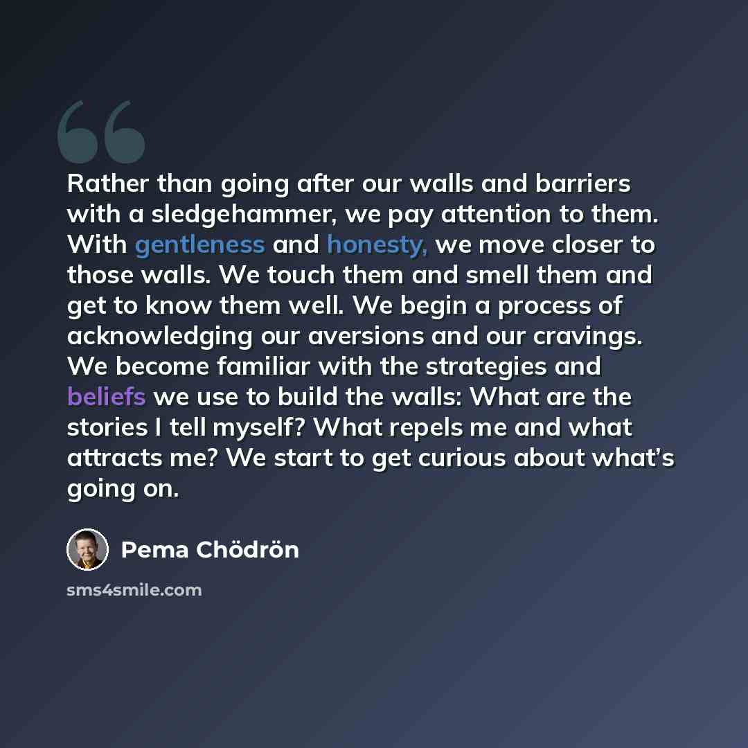 “Rather than going after our walls and barriers with a sledgehammer, we pay attention to them. With gentleness and honesty, we move closer to those walls. We touch them and smell them and get to know them well. We begin a process of acknowledging our aversions and our cravings. We become familiar…” quote by Pema Chodron