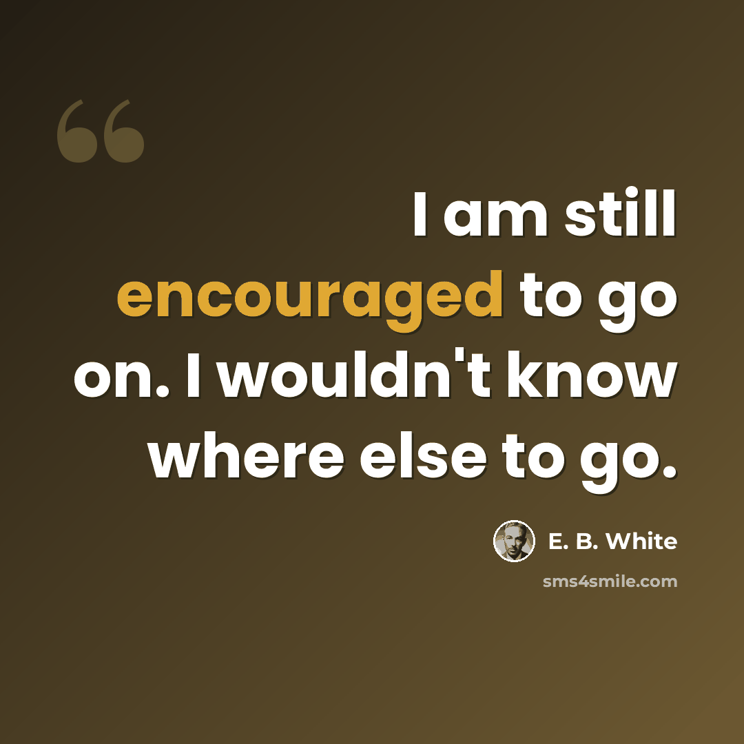 “I am still encouraged to go on. I wouldn't know where else to go.” quote by E. B. White