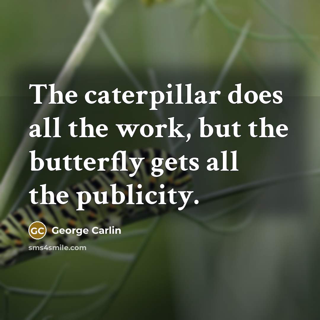 “The caterpillar does all the work, but the butterfly gets all the publicity.” quote by George Carlin