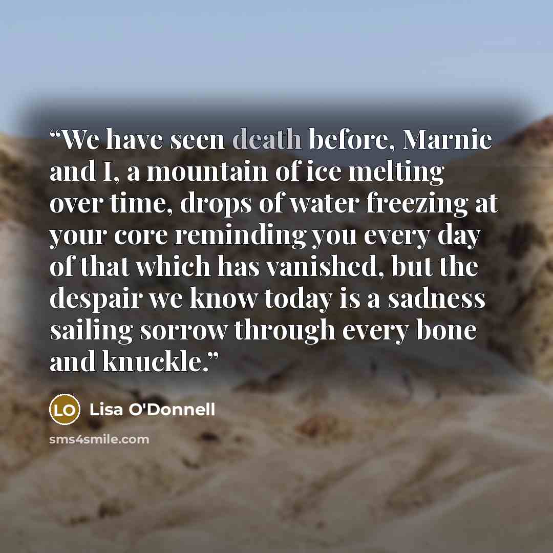 “We have seen death before, Marnie and I, a mountain of ice melting over time, drops of water freezing at your core reminding you every day of that which has vanished, but the despair we know today is a sadness sailing sorrow through every bone and knuckle.” quote by Lisa O'Donnell