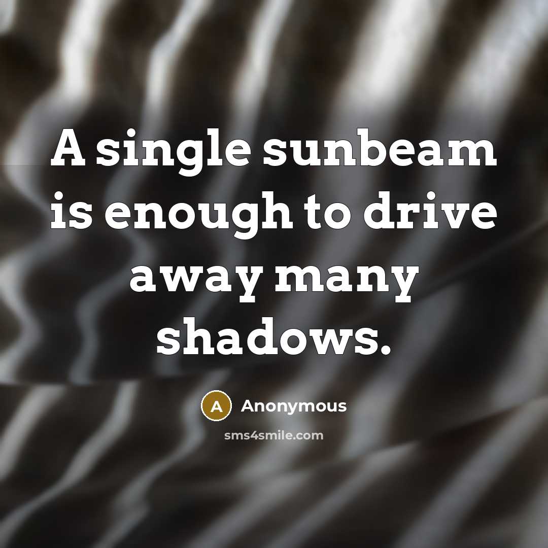 “A single sunbeam is enough to drive away many shadows.” quote by Anonymous