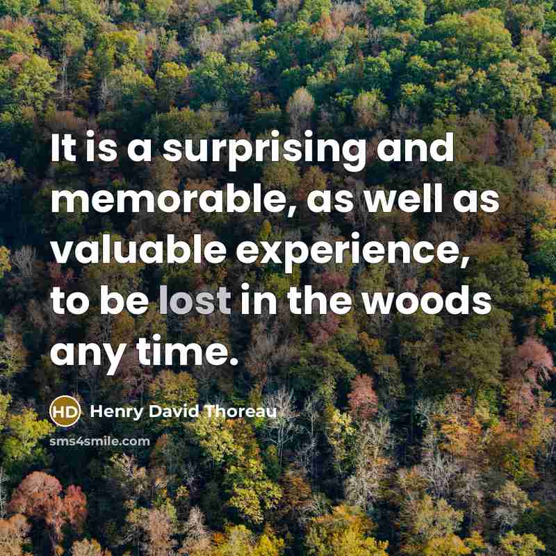 “It is a surprising and memorable, as well as valuable experience, to be lost in the woods any time.” quote by Henry David Thoreau