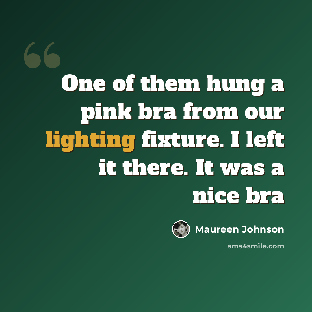 “One of them hung a pink bra from our lighting fixture. I left it there. It was a nice bra” quote by Maureen Johnson