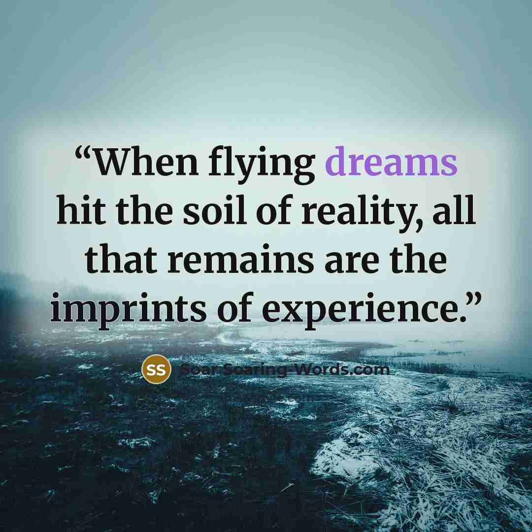“When flying dreams hit the soil of reality, all that remains are the imprints of experience.” quote by Soar Soaring-Words.com