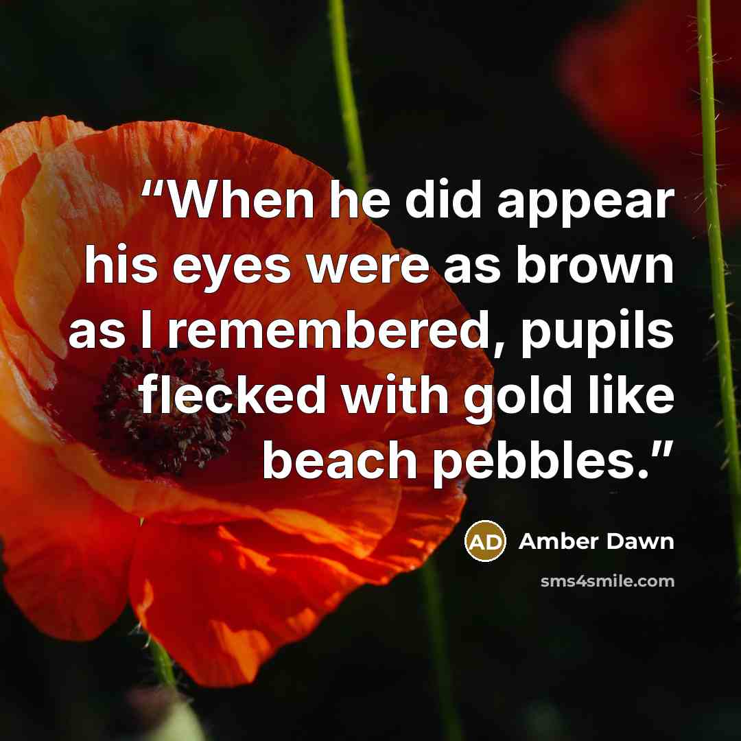 “When he did appear his eyes were as brown as I remembered, pupils flecked with gold like beach pebbles.” quote by Amber Dawn