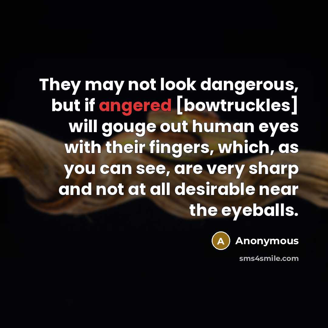 “They may not look dangerous, but if angered [bowtruckles] will gouge out human eyes with their fingers, which, as you can see, are very sharp and not at all desirable near the eyeballs.” quote by Anonymous