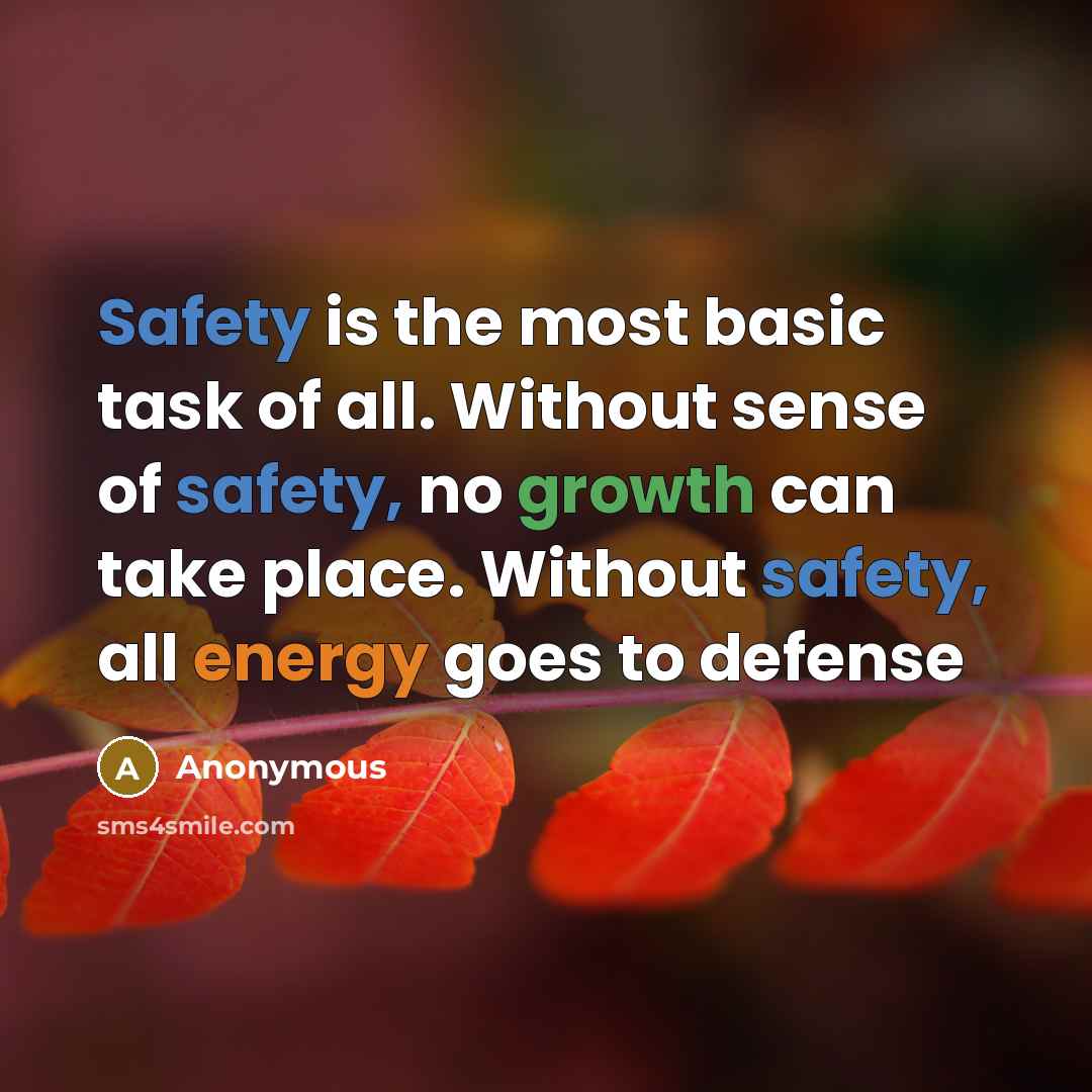 “Safety is the most basic task of all. Without sense of safety, no growth can take place. Without safety, all energy goes to defense” quote by Anonymous