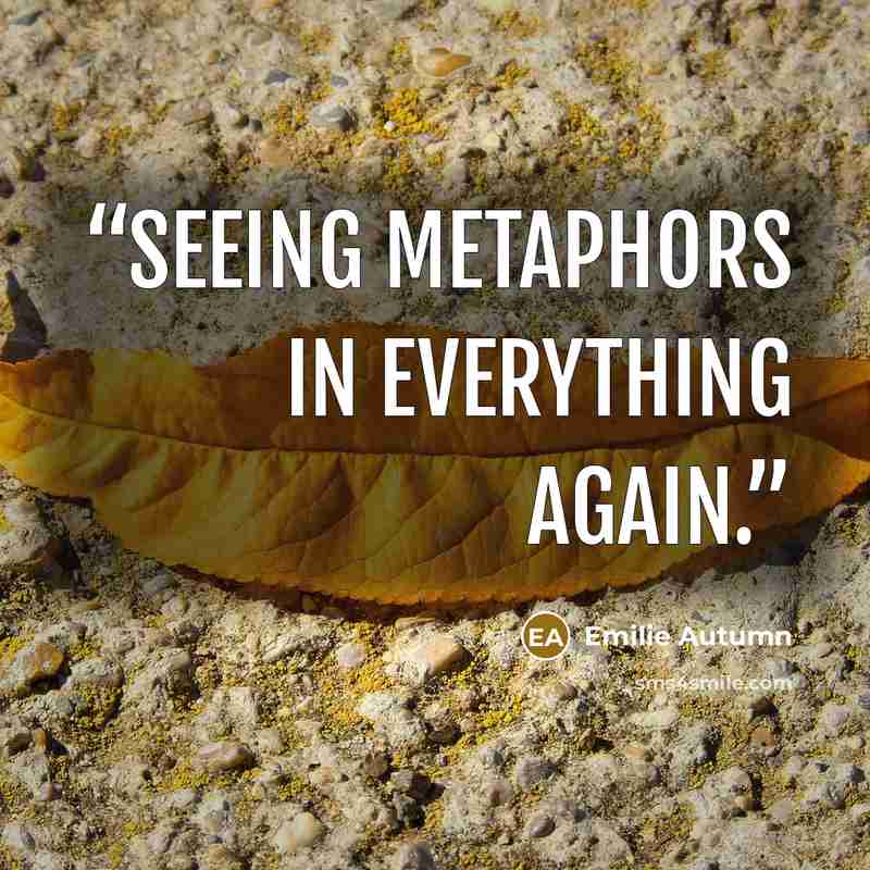 “Seeing metaphors in everything again.” quote by Emilie Autumn