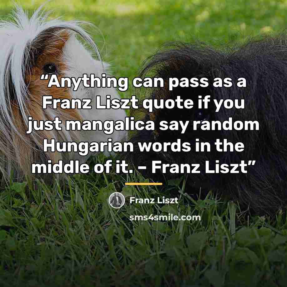 “Anything can pass as a Franz Liszt quote if you just mangalica say random Hungarian words in the middle of it. – Franz Liszt” quote by Franz Liszt