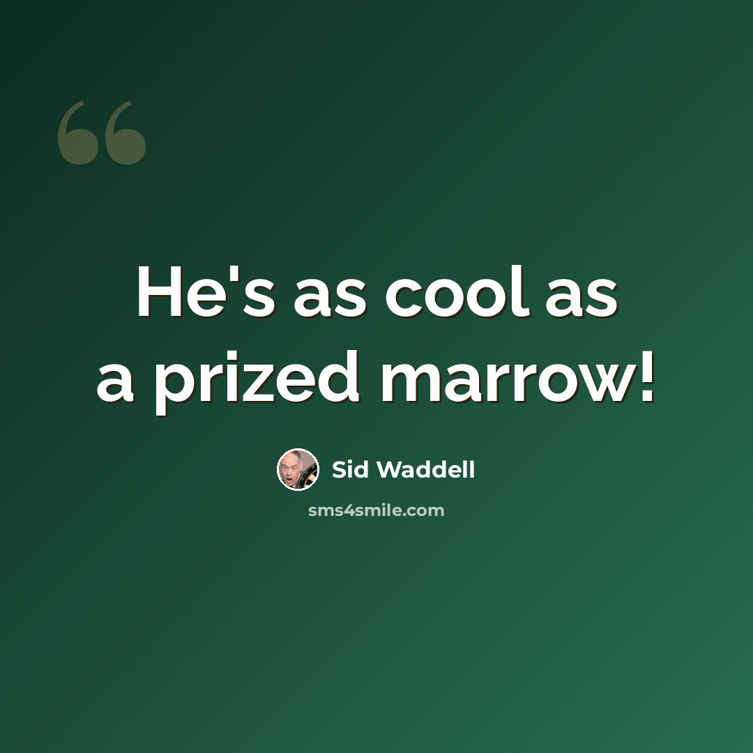 “He's as cool as a prized marrow!” quote by Sid Waddell