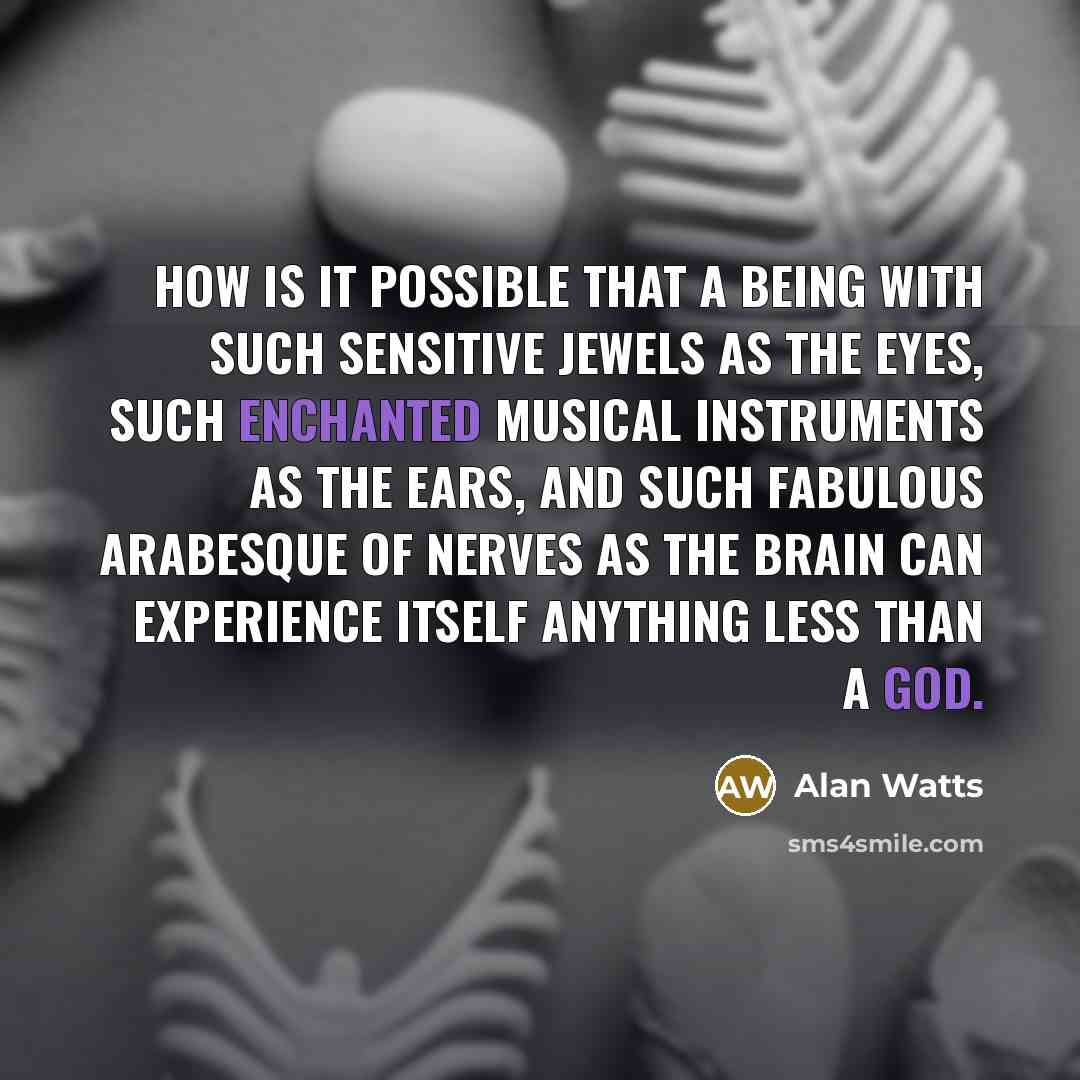 “How is it possible that a being with such sensitive jewels as the eyes, such enchanted musical instruments as the ears, and such fabulous arabesque of nerves as the brain can experience itself anything less than a god.” quote by Alan Watts