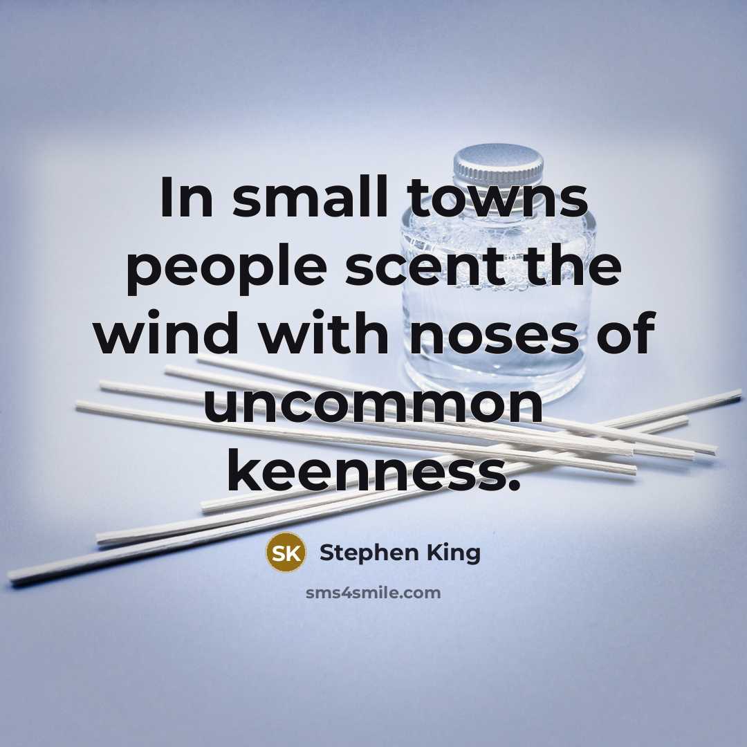 “In small towns people scent the wind with noses of uncommon keenness.” quote by Stephen King