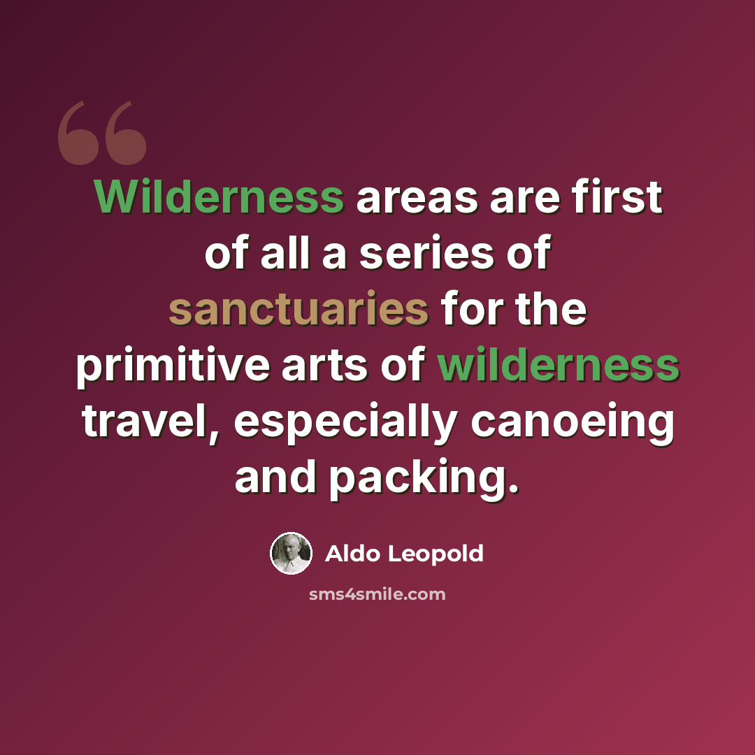 “Wilderness areas are first of all a series of sanctuaries for the primitive arts of wilderness travel, especially canoeing and packing.” quote by Aldo Leopold