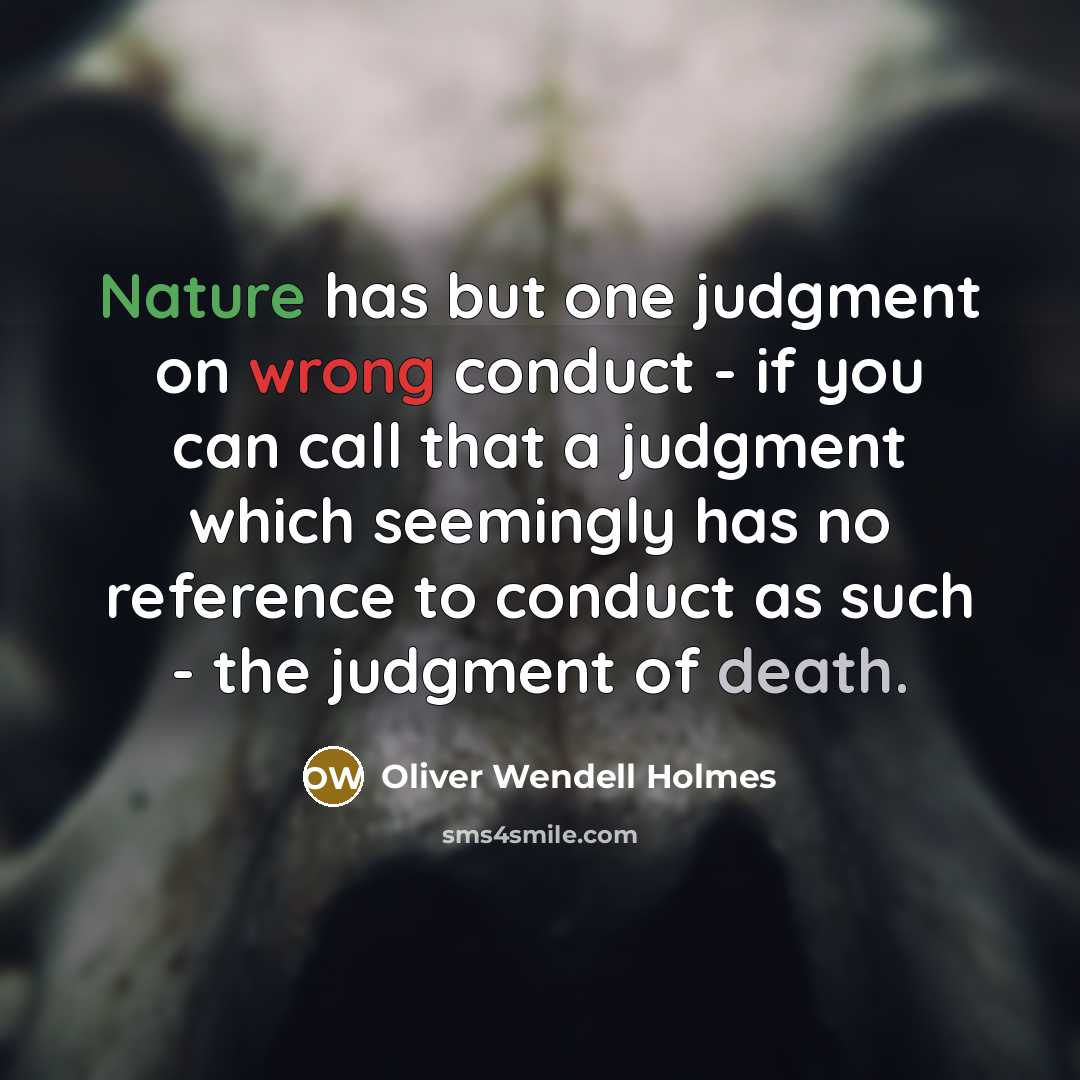 “Nature has but one judgment on wrong conduct - if you can call that a judgment which seemingly has no reference to conduct as such - the judgment of death.” quote by Oliver Wendell Holmes