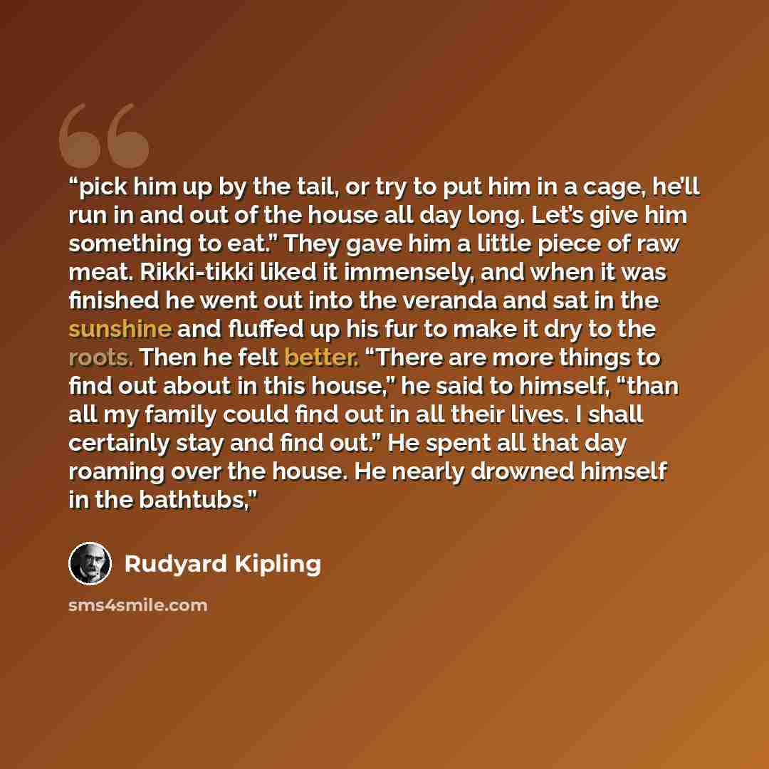 “pick him up by the tail, or try to put him in a cage, he’ll run in and out of the house all day long. Let’s give him something to eat.” They gave him a little piece of raw meat. Rikki-tikki liked it immensely, and when it was finished he went out into the veranda and sat in the sunshine and…” quote by Rudyard Kipling