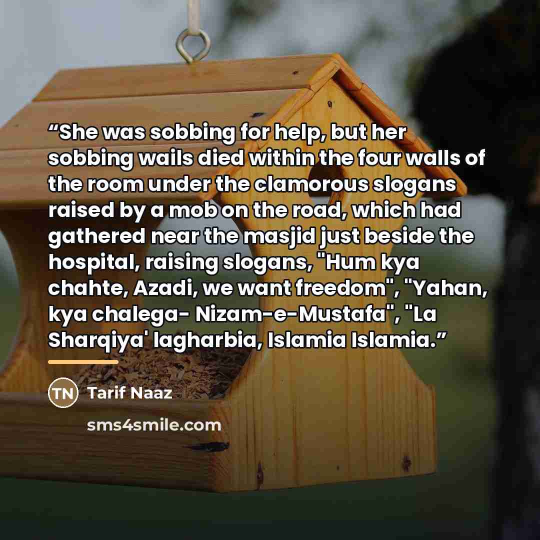 “She was sobbing for help, but her sobbing wails died within the four walls of the room under the clamorous slogans raised by a mob on the road, which had gathered near the masjid just beside the hospital, raising slogans, "Hum kya chahte, Azadi, we want freedom", "Yahan, kya chalega…” quote by Tarif Naaz