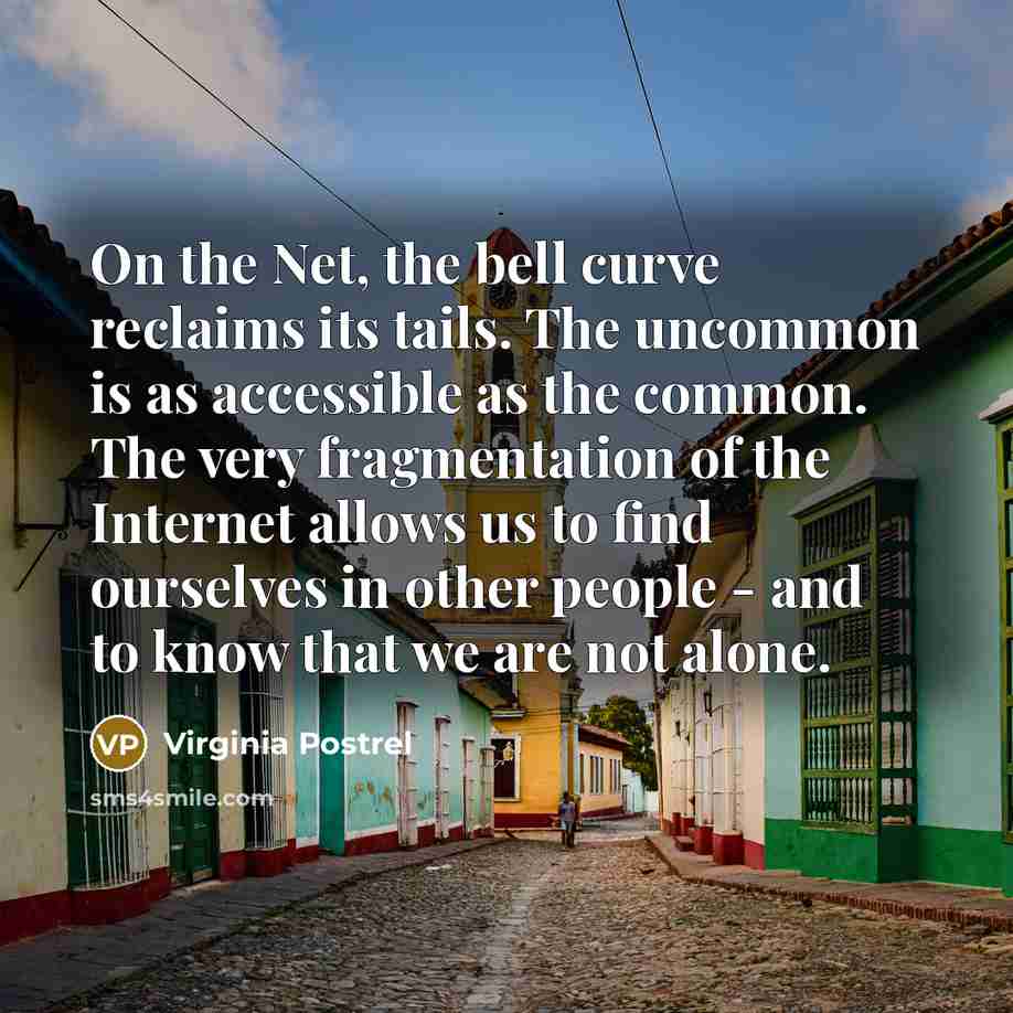 “On the Net, the bell curve reclaims its tails. The uncommon is as accessible as the common. The very fragmentation of the Internet allows us to find ourselves in other people - and to know that we are not alone.” quote by Virginia Postrel