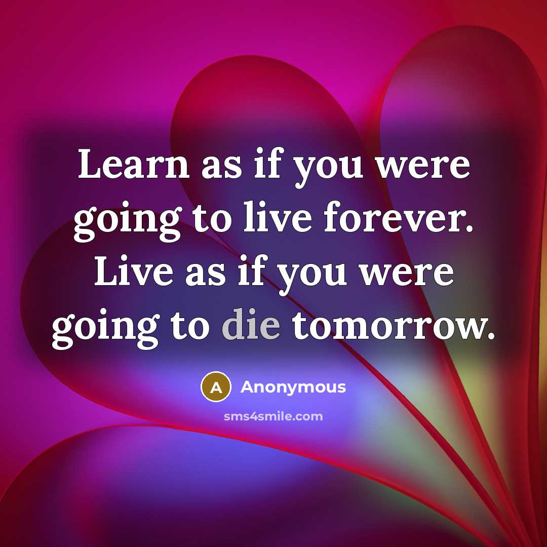 “Learn as if you were going to live forever. Live as if you were going to die tomorrow.” quote by Anonymous