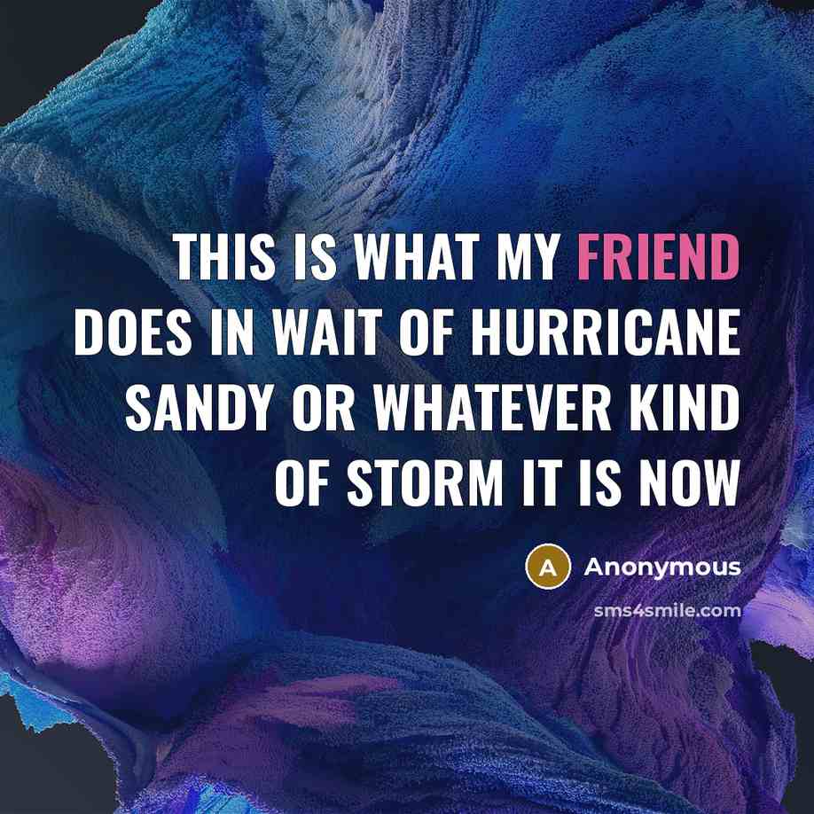 “This is what my friend does in wait of Hurricane Sandy or whatever kind of storm it is now” quote by Anonymous
