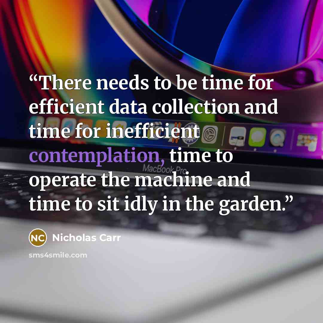 “There needs to be time for efficient data collection and time for inefficient contemplation, time to operate the machine and time to sit idly in the garden.” quote by Nicholas Carr