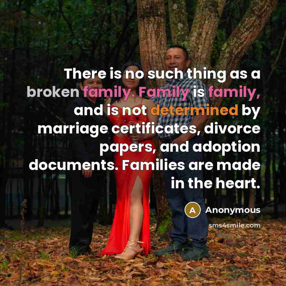 “There is no such thing as a broken family. Family is family, and is not determined by marriage certificates, divorce papers, and adoption documents. Families are made in the heart.” quote by Anonymous