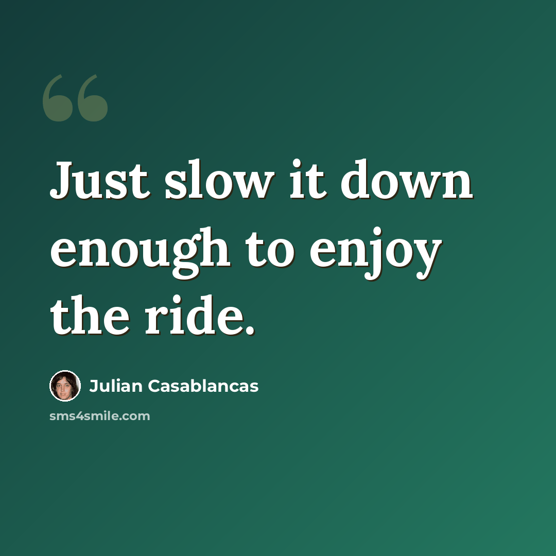 “Just slow it down enough to enjoy the ride.” quote by Julian Casablancas