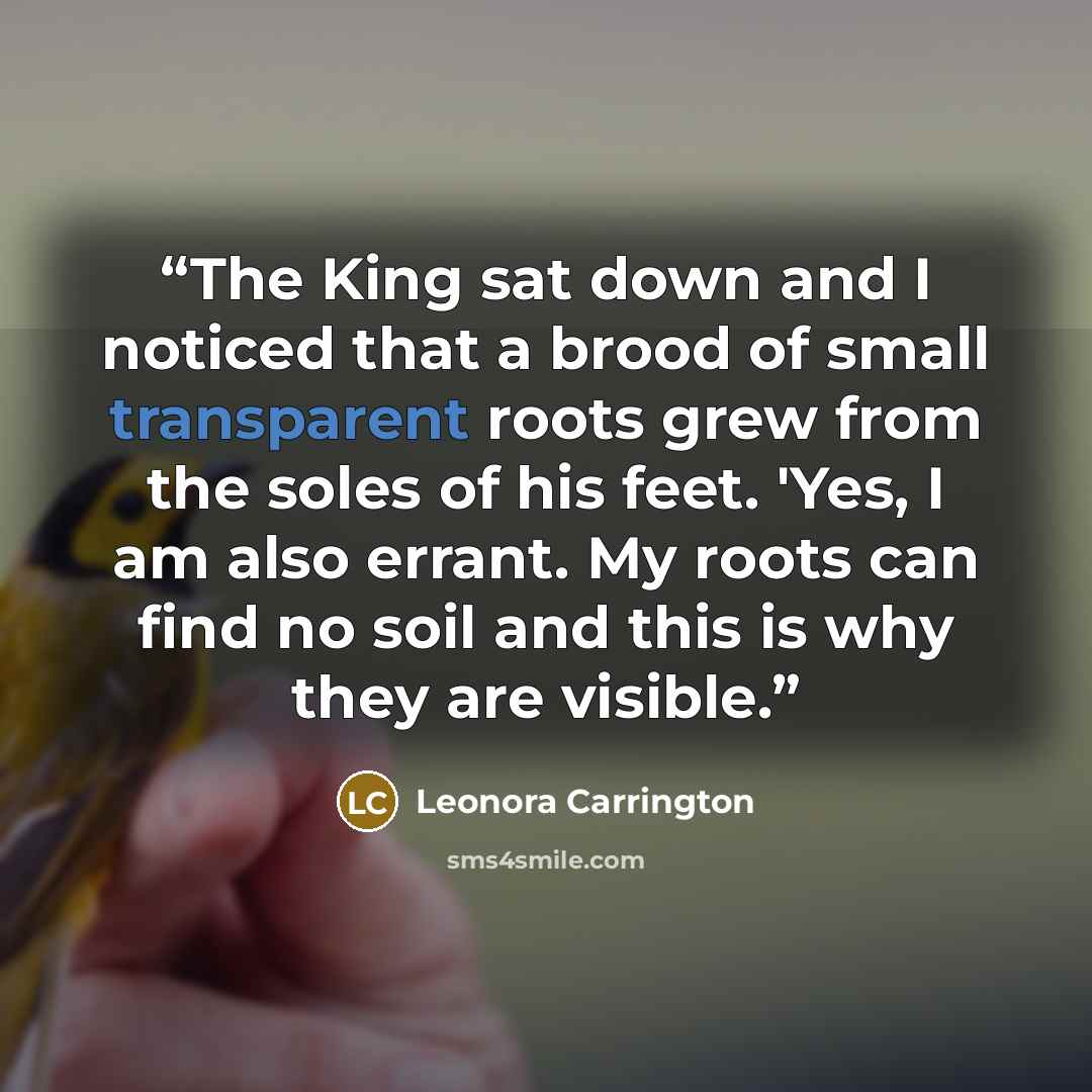 “The King sat down and I noticed that a brood of small transparent roots grew from the soles of his feet. 'Yes, I am also errant. My roots can find no soil and this is why they are visible.” quote by Leonora Carrington