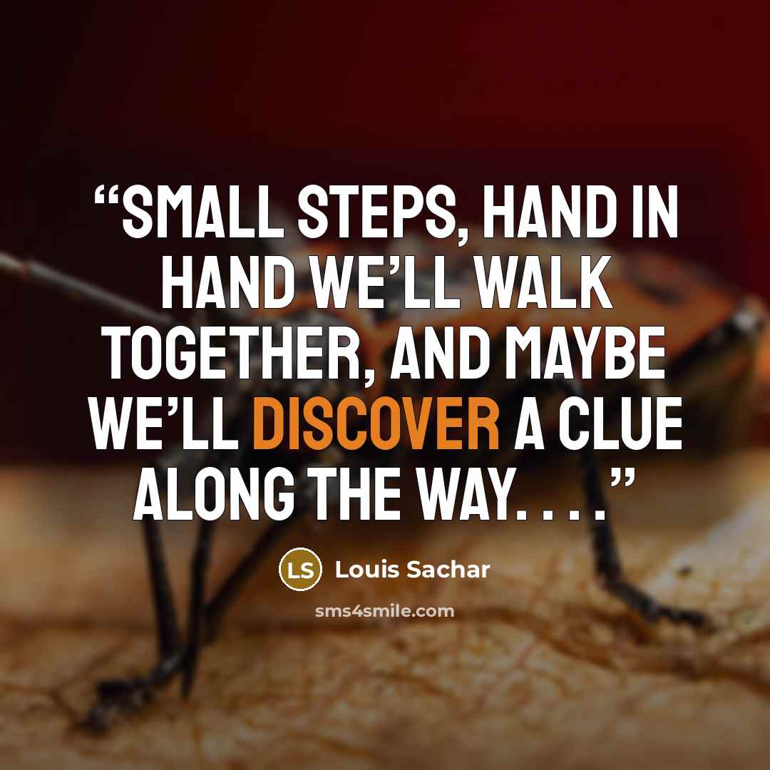“Small steps, Hand in hand we’ll walk together, And maybe we’ll discover A clue along the way. . . .” quote by Louis Sachar