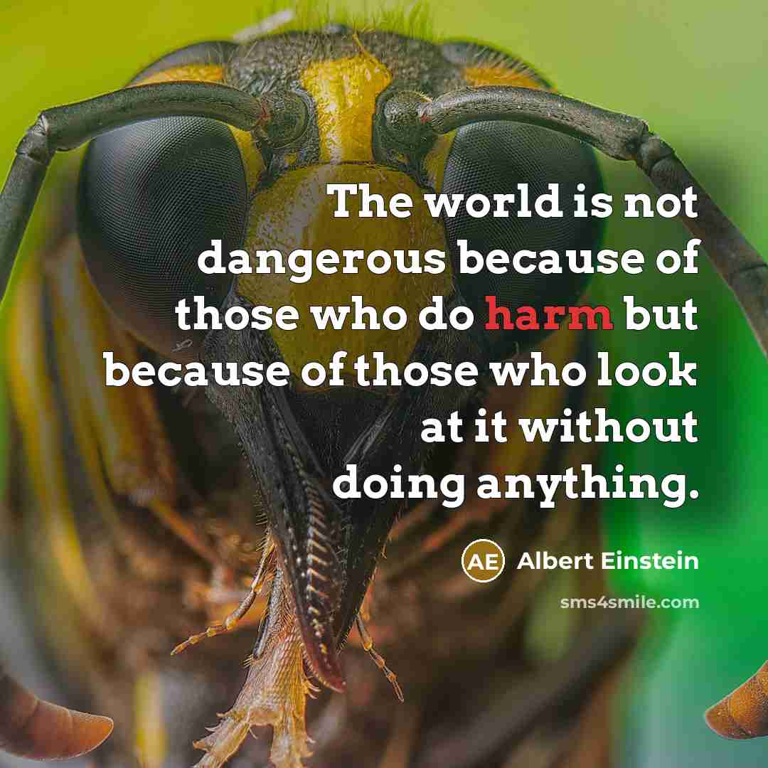 “The world is not dangerous because of those who do harm but because of those who look at it without doing anything.” quote by Albert Einstein