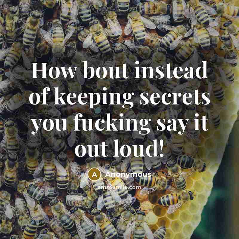 “How bout instead of keeping secrets you fucking say it out loud!” quote by Anonymous