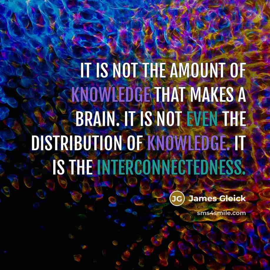 “It is not the amount of knowledge that makes a brain. It is not even the distribution of knowledge. It is the interconnectedness.” quote by James Gleick